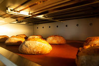 Four à pain modulaire électrique à quatre niveaux certifié CE BRESSO, écran tactile, équipement de boulangerie pour cuisine industrielle