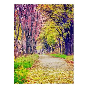 Bao giờ thời điểm bức tranh Kim Cương mùa thu khảm tự làm đầy đủ vuông nhựa khoan thêu tác phẩm nghệ thuật Quà Tặng phòng khách trang trí s2f2618 - Product Image 1