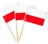 100pcs Per Bag Bendera Tusuk Gigi Polandia dan Bendera Negara Lainnya, Mini Stick Custom untuk Hiasan Cupcake