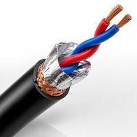 Câble blindé RVSP en cuivre à paire torsadée avec isolation en PVC pour applications de contrôle et de signalisation