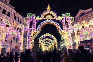 220V lumineux LED extérieur décoration de noël guirlandes lumineuses nouveau Motif <span class=keywords><strong>éclair</strong></span>é Tunnel arche <span class=keywords><strong>entrée</strong></span> foudre arc - Product Image 4