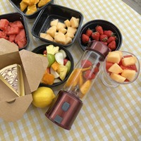 Mixeur Portable en Verre pour Fruits, Tasse à Jus Électrique Domestique, Mini-Mixeur de Voyage Rechargeable de Luxe 450ml
