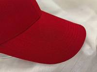 Gorra de Béisbol Oxford de 5 Paneles en Terciopelo Lavado, Bordada a Mano con Hojas de Leopardo y Puntos, Estilo Urbano