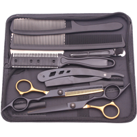Ciseaux de Coiffure 6'' AQIABI Ciseaux de Coupe Désépaissir Ciseaux à Cheveux pour Salon de Coiffure Peignes C1001