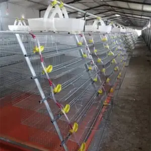 Tuyệt vời trang trại chất lượng cao h loại chim cút Lồng trứng lớp lớp chim cút lồng để bán cho Kenya