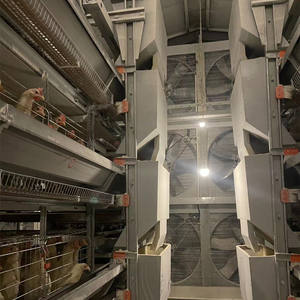 Otomatik h-tipi tavuk tabakası tavuk çiftliği ekipmanları çok fonksiyonlu gün eski civciv kafes çelik tavuk kümesi iyi fiyat kullanılan yeni - Product Image 2