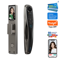 Serrure de porte intelligente à reconnaissance faciale 3D, caméra de reconnaissance des veines palmaires, interphone vidéo, entrée sans clé Tuya Wifi, Cerradura Inteligente, maison, bureau