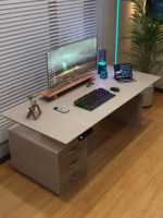 Bureau électrique intelligent avec cadre métallique et surface en cuir, double prise, pour bureau, e-sport, étude, poste de travail L56