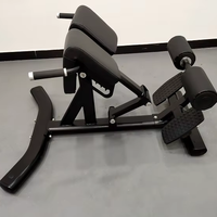 Banc d'extension du dos de gymnastique pour hommes Chaise romaine