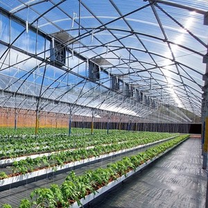 Công Nghiệp Lớn Năng Lượng Mặt Trời Powered Làm Mát Không Khí Tường <span class=keywords><strong>Fan</strong></span> Cho Chăn Nuôi Trang Trại Nhà Kính Xả Thông Gió <span class=keywords><strong>Fan</strong></span> Với Năng Lượng Mặt Trời Hệ Thống Bảng Điều Khiển - Product Image 6