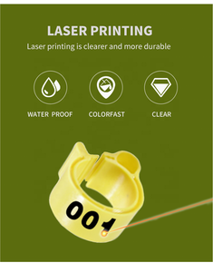 F-006 Papegaaienbeenring Nieuwe Outdoor Flight Training Accessoires Voor Vogelduif Open Voetring - Product Image 2