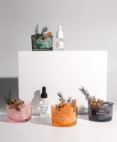DIY Aromathérapie Gemstone Diffuser Set Non-Fire Crystal Glass Fire-Free avec Essential Oil