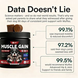 שריר חלבון גבוה לזכות לועסים רכים עבור כלבים מגזע גדול כלב טבעי תוספי מזון עבור ציד גזעים נורוויג 'יאן - Product Image 3