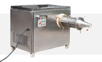 Séparateur de poisson en acier inoxydable, filtre à viande automatique pour os fins