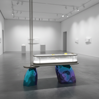 Vitrine d'exposition rectangulaire en plastique renforcé de fibres de verre de haute qualité avec éclairage LED pour musées et commerces
