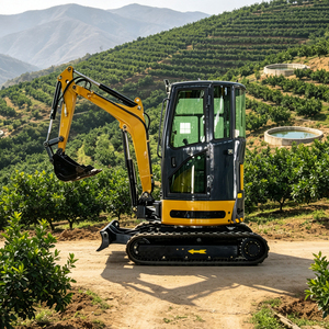 Mini-excavatrice TP30 de haute qualité, 3 tonnes, petite pelle compacte sur chenilles pour projets municipaux, conforme aux normes EPA - Product Image 6