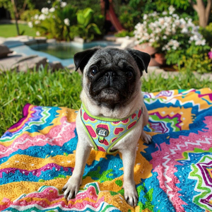 Midpet أنيق نمط هندسي الكلب تسخير المقود أنبوب حقيبة حامل 3 قطع مجموعة عالية الجودة شخصية دعم التخصيص - Product Image 4