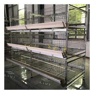 Chick Cage Poultry Equipment Chicken Houses Suppliers In South Africa