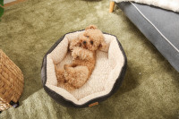 Lit pour animaux de compagnie en peluche de qualité supérieure, vente en gros, nid douillet en sherpa pour chien et chat, chaud, non amovible, coussin ovale pour animaux de compagnie