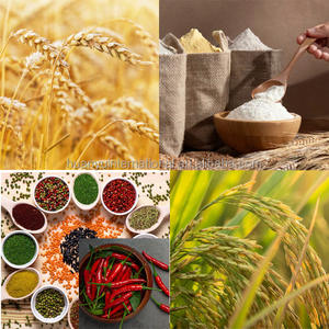 Kit de Teste Rápido de Aflatoxina Total para Rações e Grãos Certificado CE ISO - Product Image 6