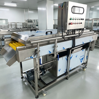 Bellenwasmachine met borstelrollen voor het reinigen van aardappelen, wortelen, uien en wortelgroenten.