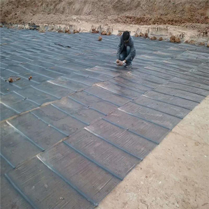 Rejilla de polietileno/geomalla HDPE uniaxial/rejilla de malla de plástico unixial - Product Image 4