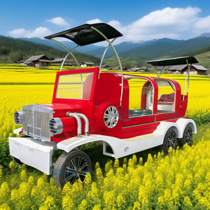 Funeral Coffin Horse <b>Trailer</b> for Sale Modern Design Funeral Hearse Carriage Customized Funeral Car for Sale - Product Image 2