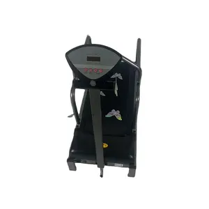 Pet exercise machine featuring adjustable resistance levels to challenge dogs and maximize weight loss benefits