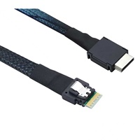 Câble OCuLink SFF-8611 4i vers Mini SAS HD SFF-8643, 42 broches, PCIe 4.0, câble de stockage interne pour serveur, 0,5 m