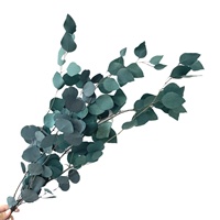 Produsen Yunnan Grosir Bunga Awetan Dekorasi Daun Apel Daun Eucalyptus