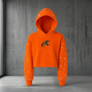 Sudadera con Capucha Corta para Hombre, Personalizada con Pedrería Bordada de la Universidad FAMU Florida A&M, 100% Algodón, Formal de Invierno - Product Image 3