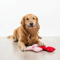 Jouet pour chien en forme de cœur en chocolat pour la Saint-Valentin, jouet interactif en peluche qui couine avec tissu et corde résistants aux morsures pour chiens