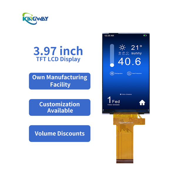 3.97 Inch Tft Lcd Display Module 480*800 Resolution Custom Color Ips Lcd Module with Ctp