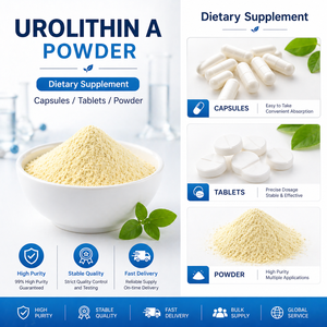 Poudre d'Urolithine A en vrac, pureté élevée de 98 à 99 %, ingrédient anti-âge mitochondriel pour complément alimentaire OEM ODM - Product Image 2