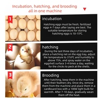 Nouvelle machine à couver les œufs avec télécommande Wi-Fi |   Incubateur automatique pour poulets et oiseaux, contrôle par application, 220V, taux d'éclosion de 96%, PVC