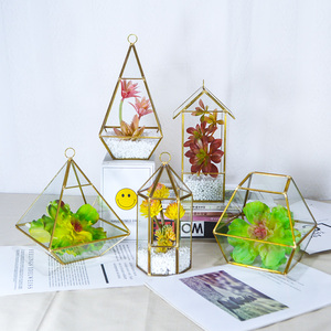 Metallrahmen Geometrische Klare Glas-Tischplatte Dekorative Auslage Wohndekor Inneneinrichtung Akzent <span class=keywords><strong>Terrarium</strong></span> - Product Image 3