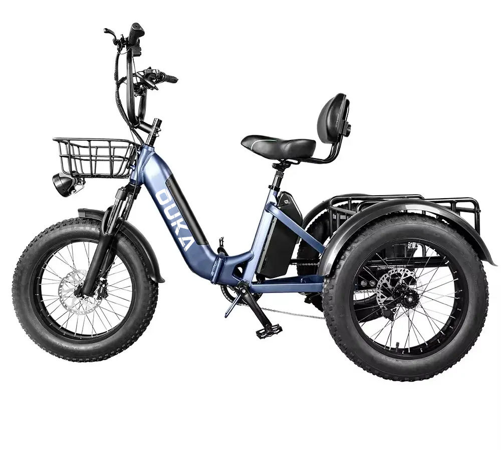 20 Inch Triciclo Electric Trike 750W Motor Fat Tires