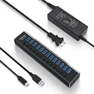 RSHTECH 13 en 1 HUB USB Station d'accueil Hub USB C avec adaptateur secteur 13 Ports Hub de données USB 3.1 pour PC ordinateur portable