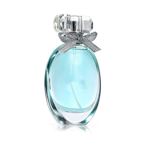 Oval-shaped Refillable Perfume Storage Bottles Cheap Transparent Spray Perfume Glass Bottle