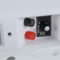 Fabricant OEM Haut-parleur intérieur de haute qualité à montage mural 20W Pa pour sonorisation