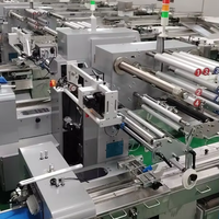 Máquina de Codificação por Estampagem com Rolo de Tinta Sólida DS1188 de Fácil Operação