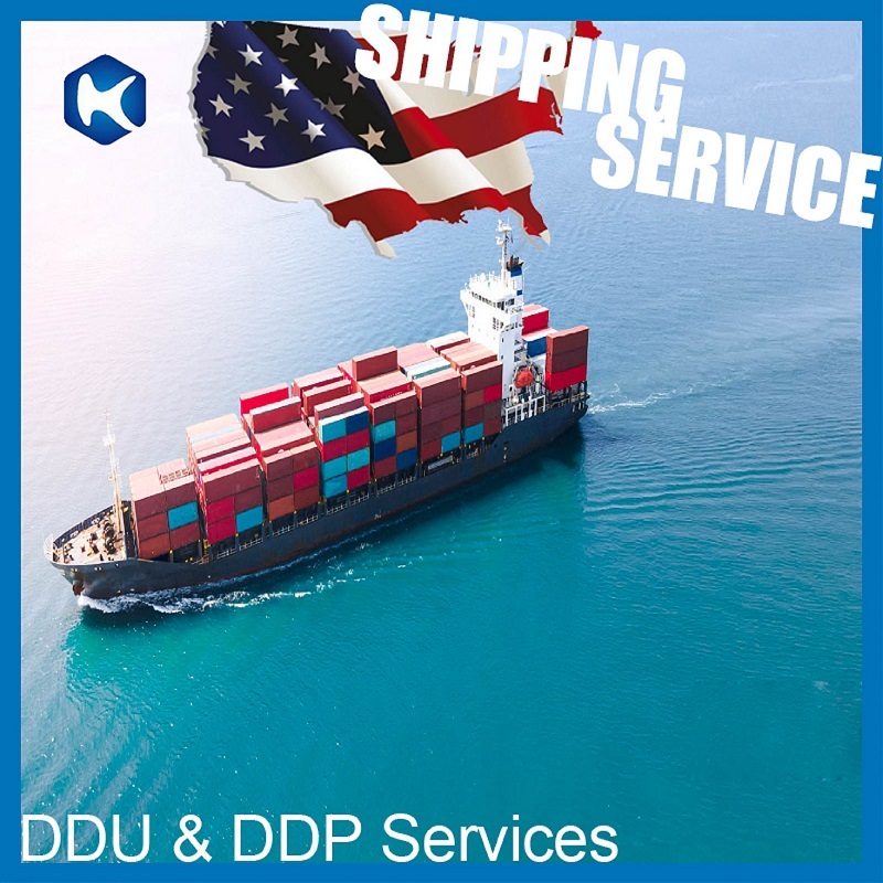 Морской фрахт в США, Шэньчжэнь, морской экспедитор, доставка, DDU, DDP сервис