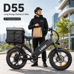 Bicicleta Eléctrica de Carga D55, Bicicleta Eléctrica de Reparto con Motor de 100W/750W, Batería Personalizada de 55AH/80AH para Entrega de Alimentos Durante Todo el Día - Product Image 1