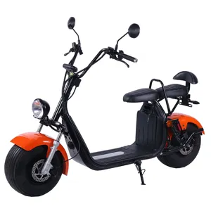 2024 Hot Sale 2000w 4000w Electric Scooters Citycoco With Eec Coc For Adults