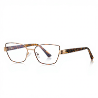 Lunettes anti-lumière bleue transfrontalières 3167 – Monture en métal large à bordure complète avec inserts en propionate pour femmes aux petits visages, effet rajeunissant