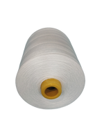 Hilo de Poliéster Hilado Teñido o de Color Mixto para Cerrar Bolsas de Arroz, 8 kg por Cono, 10s3 10s4 12s4 20s6, Precio Económico, para Prendas y Calzado