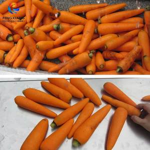 Machine à laver et à éplucher les légumes FENGXIANG, en acier inoxydable, pour nettoyer et éplucher les pommes de terre, facile à utiliser, pour les usines de transformation. - Product Image 4