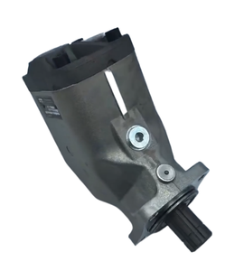 Bomba de pistón hidráulica Tejing F1 F1-051-R F1-101-R F1 F1-051 F1-081 Motor F1-060-R-000 F1-081-R-000\3781080 L F1-081-R-000 - Product Image 4