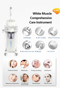 Máquina de Hidrodermoabrasión 9 en 1, Equipo Facial de Hidrodermoabrasión, Sistema Profesional de Rejuvenecimiento de la Piel para Salón - Product Image 5