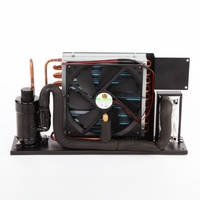 HVAC pièces solaire dc 24v 600w petit onduleur de réfrigération unité de refroidissement liquide pour PC CPU refroidissement